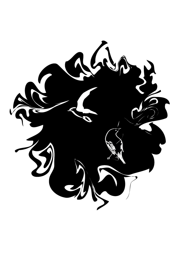 oiseaux-tornade V2 - Trommenschlager Loïse